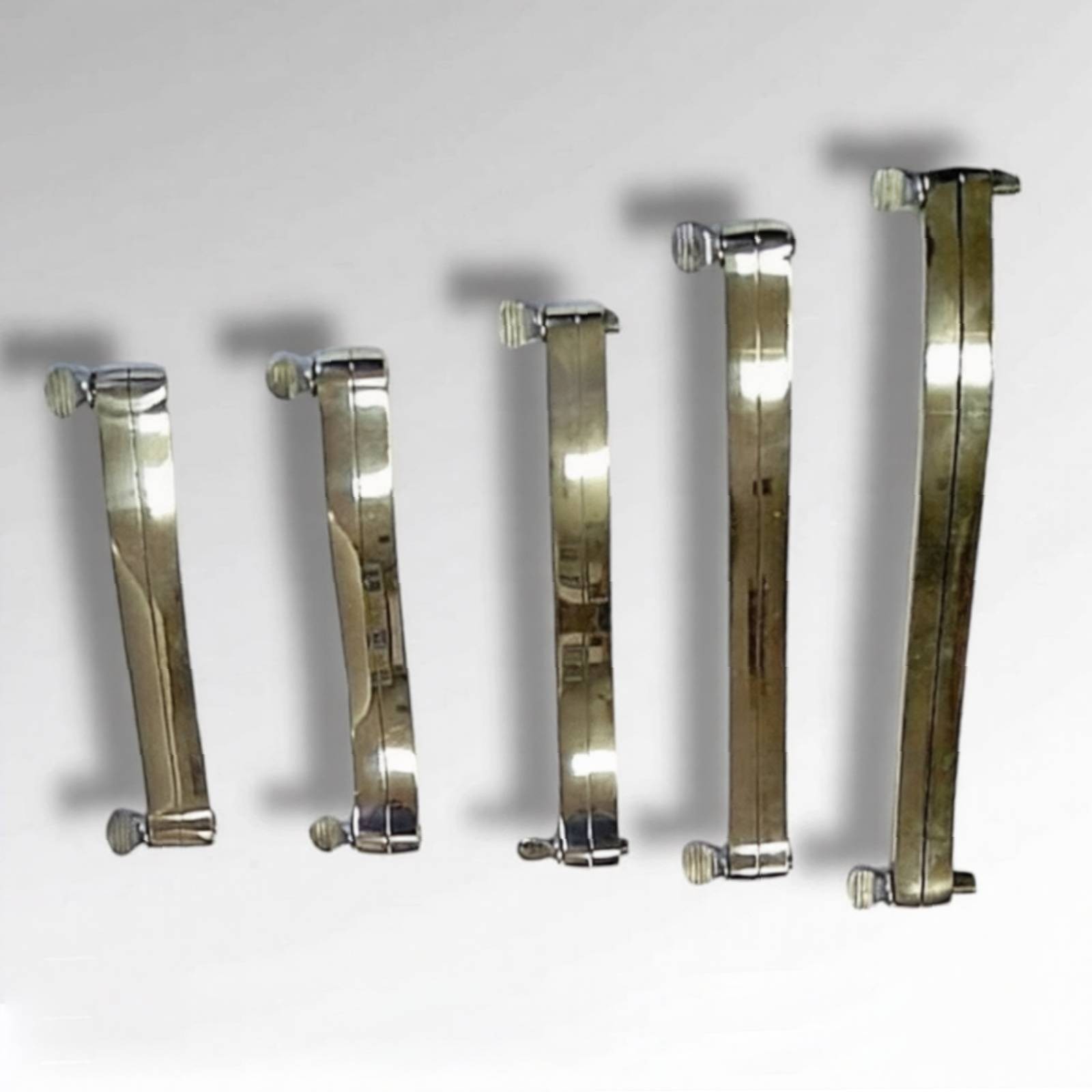 Terrier Ear Cropping Trimming Clamps Set
