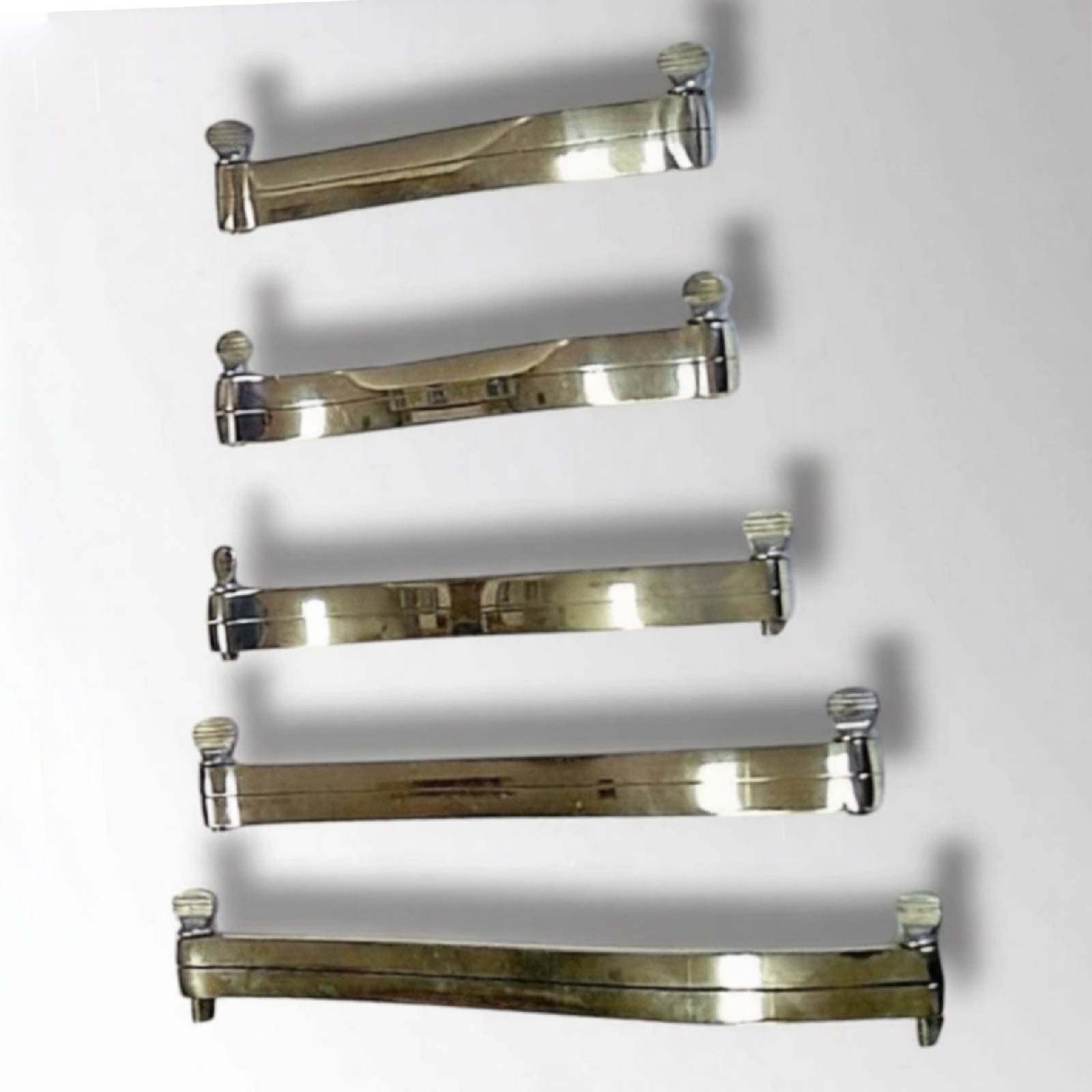 Terrier Ear Cropping Trimming Clamps Set