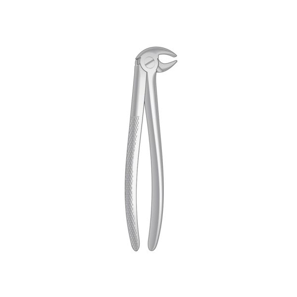 Dental
