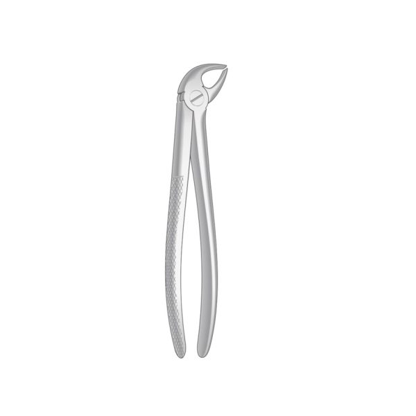 Dental